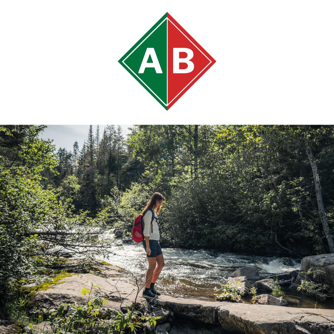 Wat voor type wandelschoenen zijn er