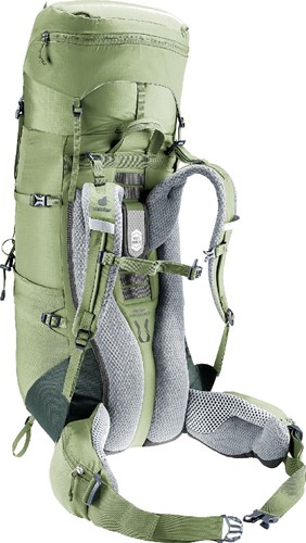 Deuter Aircontact Lite 35+10 SL - Grove/Ivy