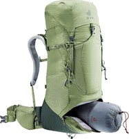 Deuter Aircontact Lite 35+10 SL - Grove/Ivy