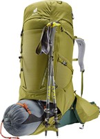 Deuter Aircontact Core 60+10 - Cactus/Ivy