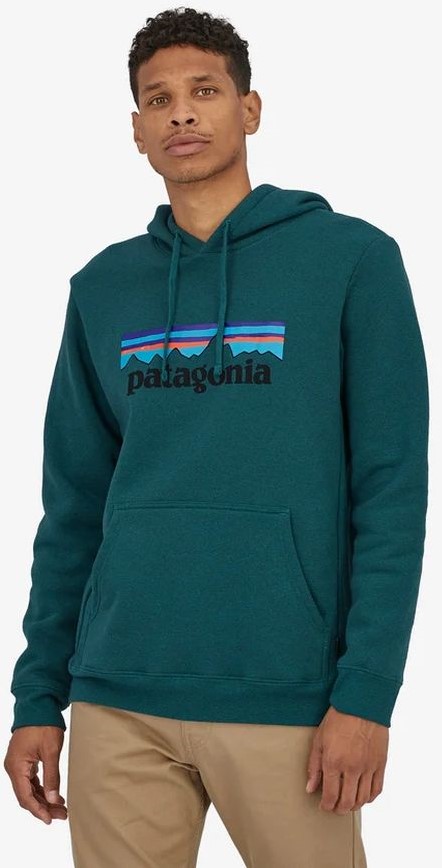 Patagonia hot sale hoodie sale