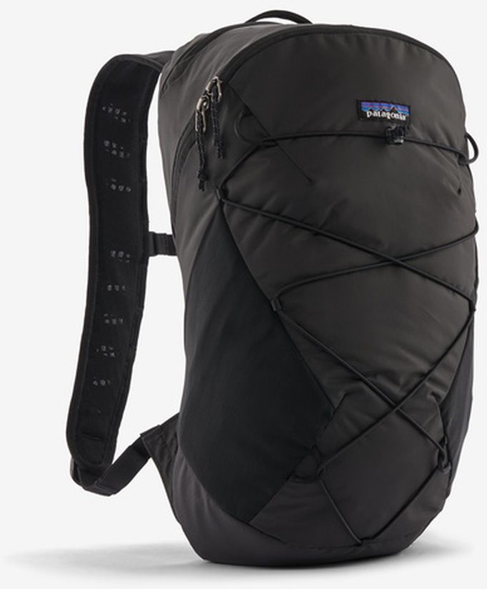 Patagonia black backpack hotsell