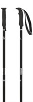 Atomic Cloud Black ski poles