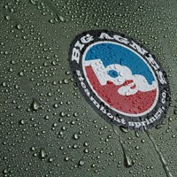 Big Agnes Copper Spur UL1 - Lichen Green