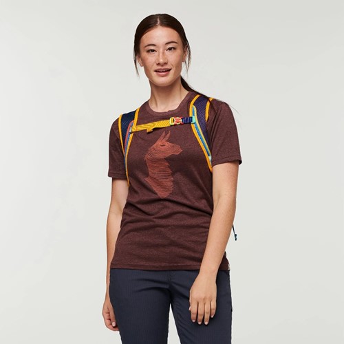 Cotopaxi Batac 16L Backpack - Del Dia (Randomized Colors)
