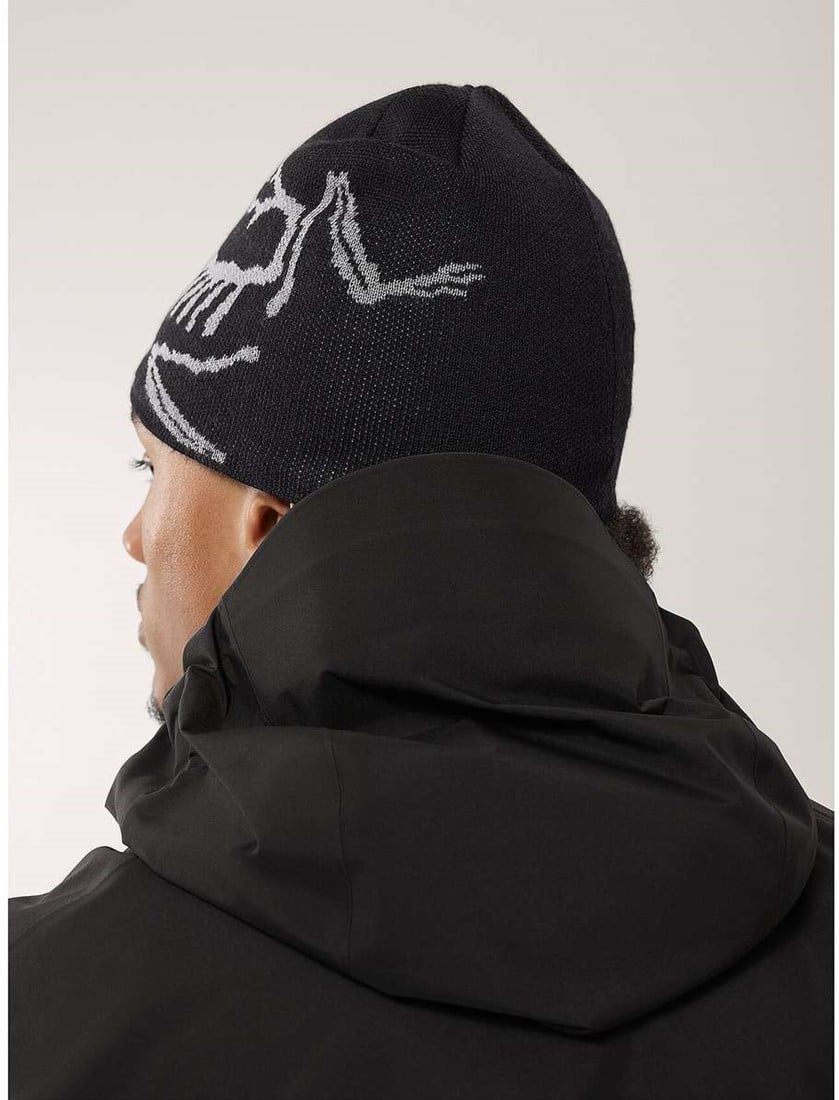 Arc'teryx Bird Head Toque - Black/Void - Beanie