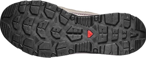 Salomon Techamphibian 5 W - Silver Sage/Iron/Knockout Pink
