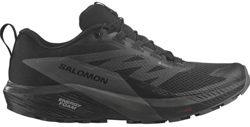 Salomon Sense Ride 5 GTX - Black/Magnet/Black - 40 2/3 (UK 7)
