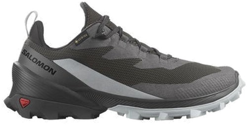 Salomon sales magnet phantom