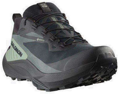 SALOMON|SNEAKERS (GENESIS GTX (Black/Agave Green/Urban Salomon Genesis GTX - Black/Avage Green/Urban Chic - 43 1/3