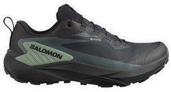 Salomon Genesis GTX - Black/Avage Green/Urban Chic - Trailunningschoenen Heren