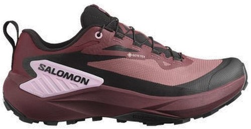 Salomon Genesis GTX W - Rose Taupe/Black/Orchid Bouquet - 42 (UK 8)
