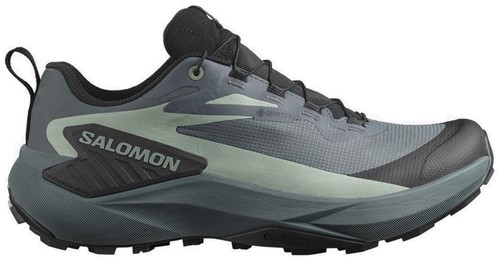 Salomon Genesis GTX W - Turbulence/Black/Green Milieu - 40 (UK 6.5)