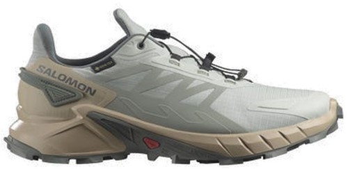 Salomon Supercross 4 GTX - Metal/White Pepper/Sedona Sage - 46 (UK 11)