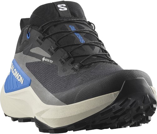 Salomon Genesis GTX - Black/Lunar Rock/French Blue