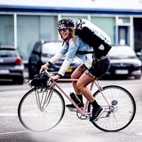 Ortlieb messenger pro new arrivals
