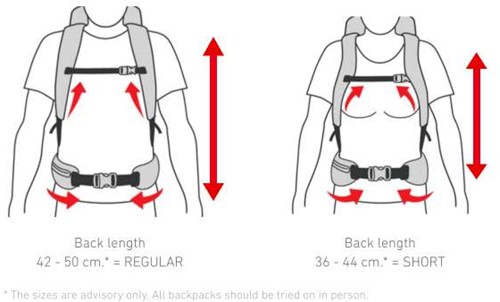 Ortovox Backpack Size Charts