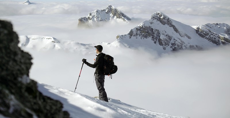 De verschillende soorten skistokken
